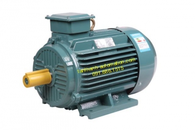 Động cơ điện 3 pha Y2 series, Y2 series three-phase asynchronous motor