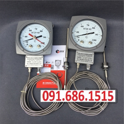 WTZK-02 transformer temperature controller pressure type temperature controller thermostat WTZK-03