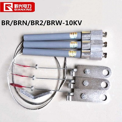 Cầu chì ống cao áp, cầu chì bảo vệ tụ bù, Qianxing BR2 BRN BRW-10-12KV 2A 5A 10A 30A 35A 45A 65A 70A 80A 90A 100A 120A 130A 140A 150A