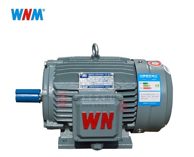 Động cơ 3 pha Wannan Motor YE3